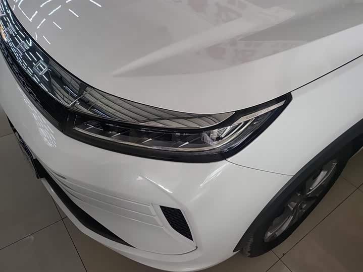 Exeed LX 2024 2024款 1.5T CVT好事花生版