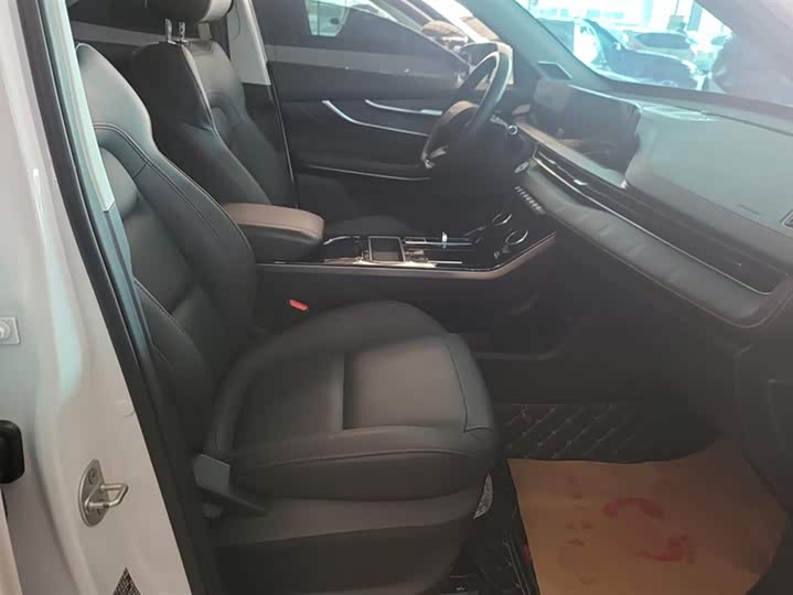 Exeed LX 2024 2024款 1.5T CVT好事花生版