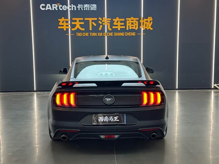 Ford Mustang 2022 2022款 2.3T EcoBoost 元光极昼限量版