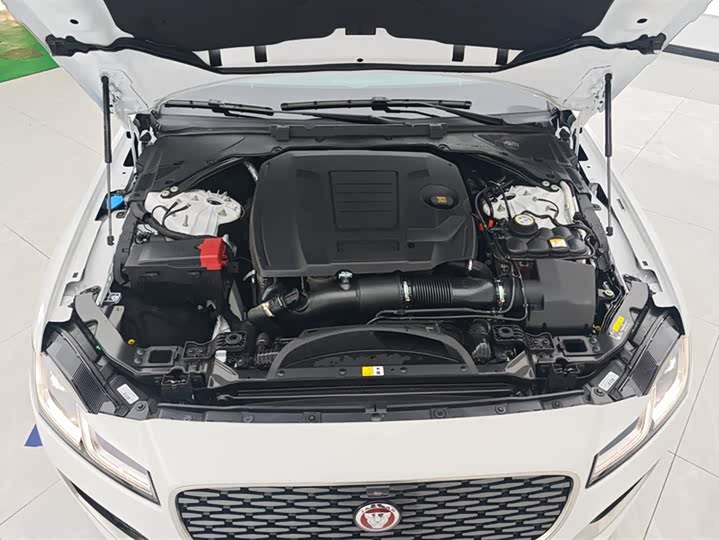 Jaguar XF L 2024 2024款 2.0T P250 两驱尊享豪华版