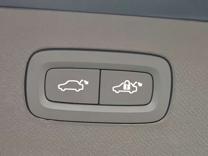 Volvo XC90 Hybrid 2023 2023款 T8 RECHARGE 智尊豪华版 7座