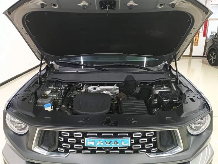 Haval H-Dog Hybrid 2024 2024款 Hi4 102km 潮电版Plus