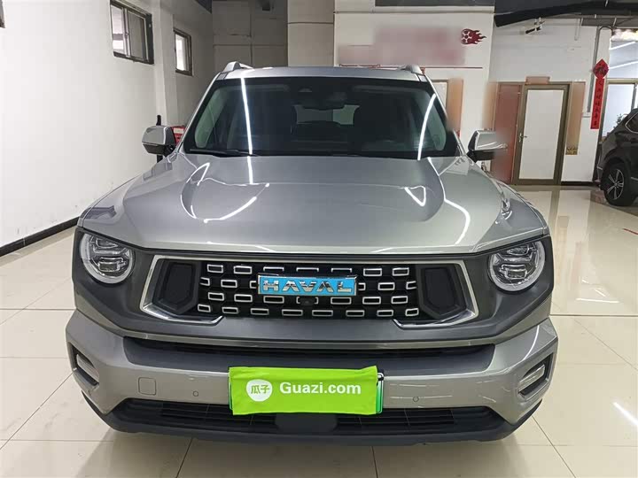 Haval H-Dog Hybrid 2024 2024款 Hi4 102km 潮电版Plus