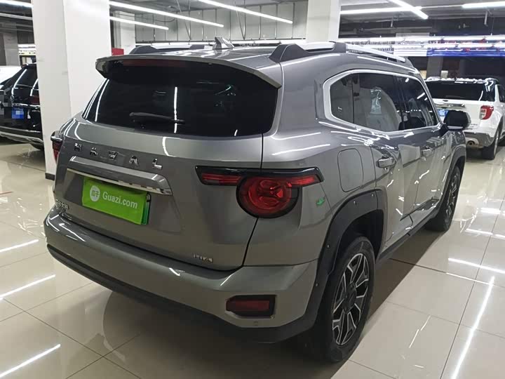 Haval H-Dog Hybrid 2024 2024款 Hi4 102km 潮电版Plus
