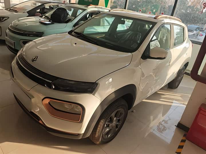 Dongfeng Nammi Nano EX1 2022 2022款 追风版 331KM 进阶型