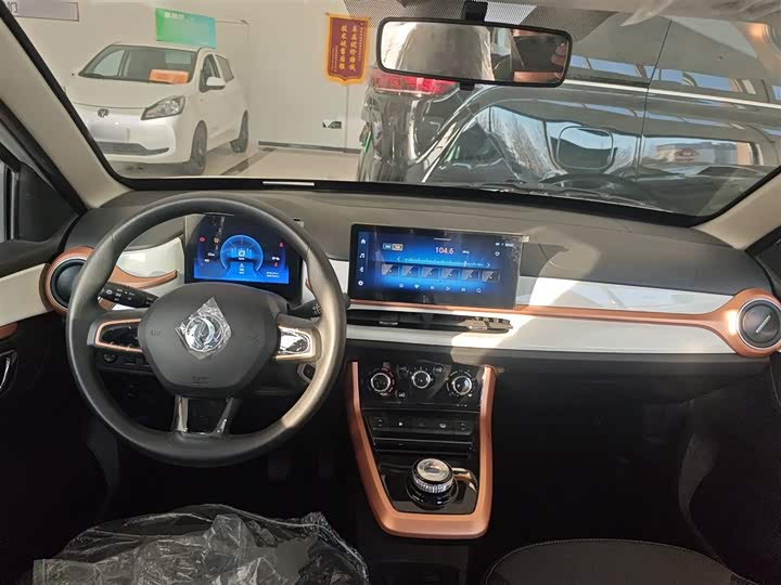 Dongfeng Nammi Nano EX1 2022 2022款 追风版 331KM 进阶型