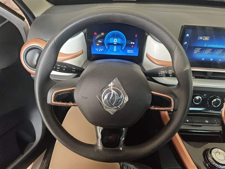 Dongfeng Nammi Nano EX1 2022 2022款 追风版 331KM 进阶型