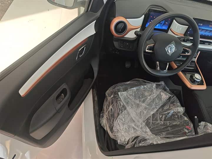 Dongfeng Nammi Nano EX1 2022 2022款 追风版 331KM 进阶型