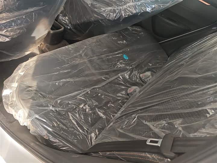 Dongfeng Nammi Nano EX1 2022 2022款 追风版 331KM 进阶型