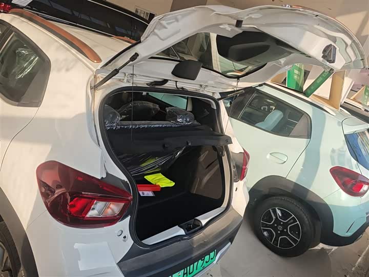 Dongfeng Nammi Nano EX1 2022 2022款 追风版 331KM 进阶型