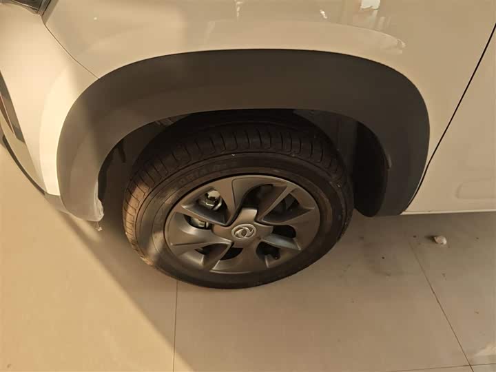 Dongfeng Nammi Nano EX1 2022 2022款 追风版 331KM 进阶型