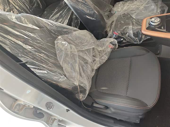 Dongfeng Nammi Nano EX1 2022 2022款 追风版 331KM 进阶型