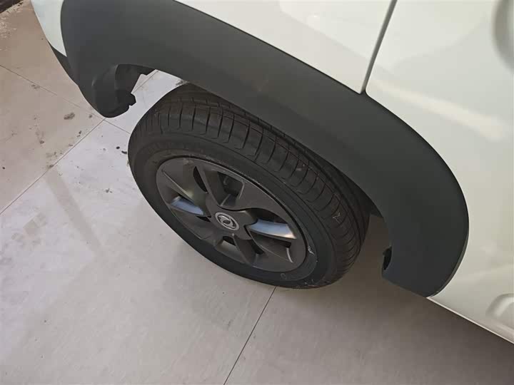 Dongfeng Nammi Nano EX1 2022 2022款 追风版 331KM 进阶型