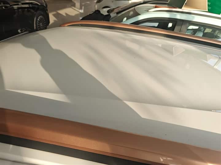 Dongfeng Nammi Nano EX1 2022 2022款 追风版 331KM 进阶型