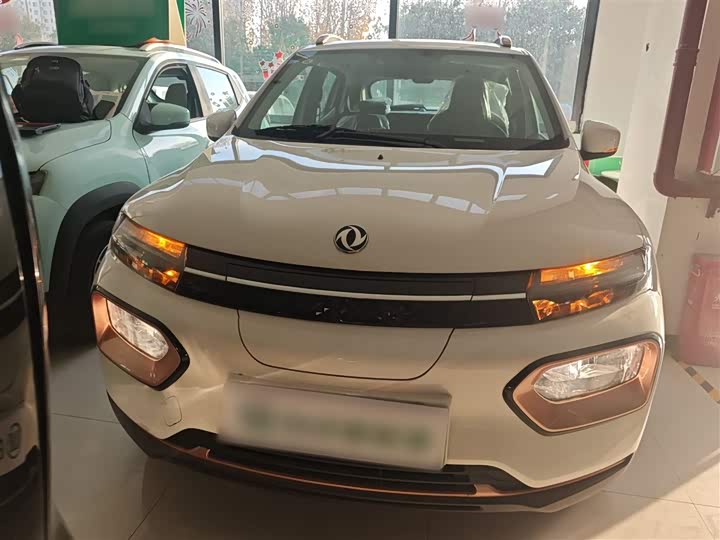 Dongfeng Nammi Nano EX1 2022 2022款 追风版 331KM 进阶型