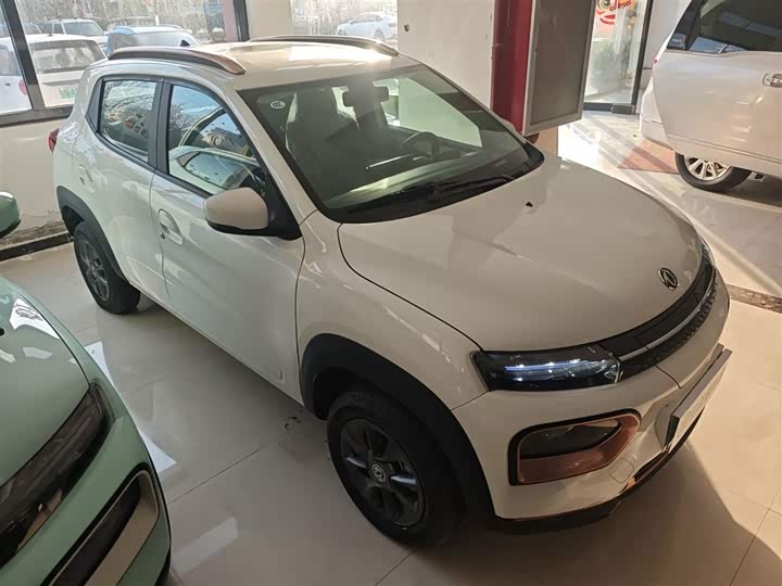 Dongfeng Nammi Nano EX1 2022 2022款 追风版 331KM 进阶型