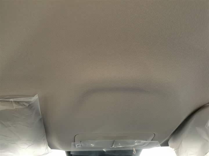 Geely Galaxy Geome 2026 2026款 310km 青春版