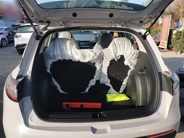 Geely Galaxy Geome 2026 2026款 310km 青春版