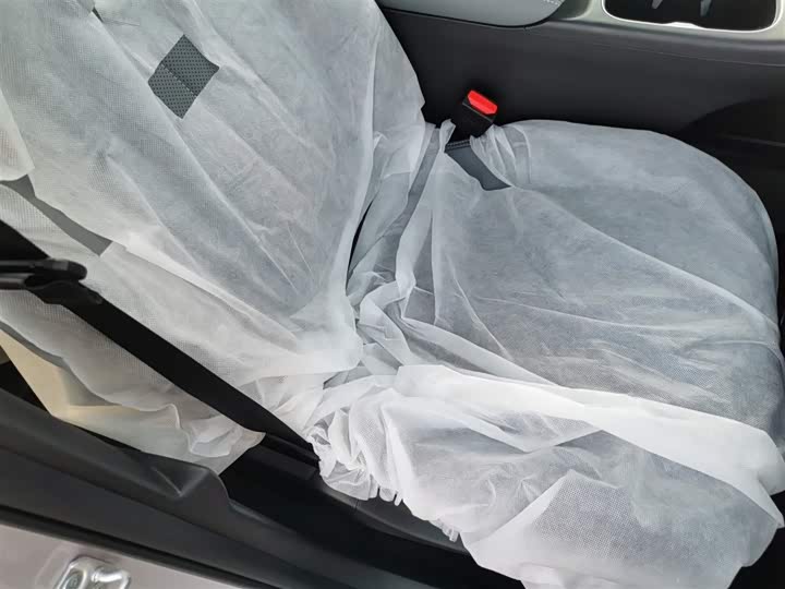 Geely Galaxy Geome 2026 2026款 310km 青春版