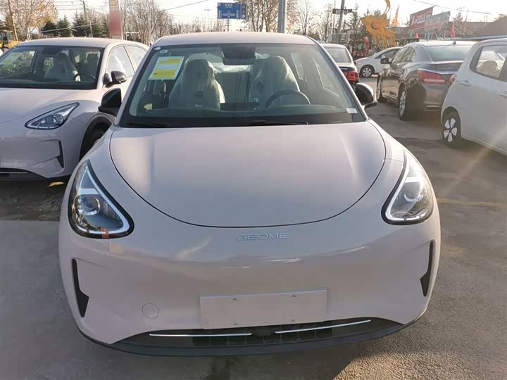 Geely Galaxy Geome 2026 2026款 310km 青春版