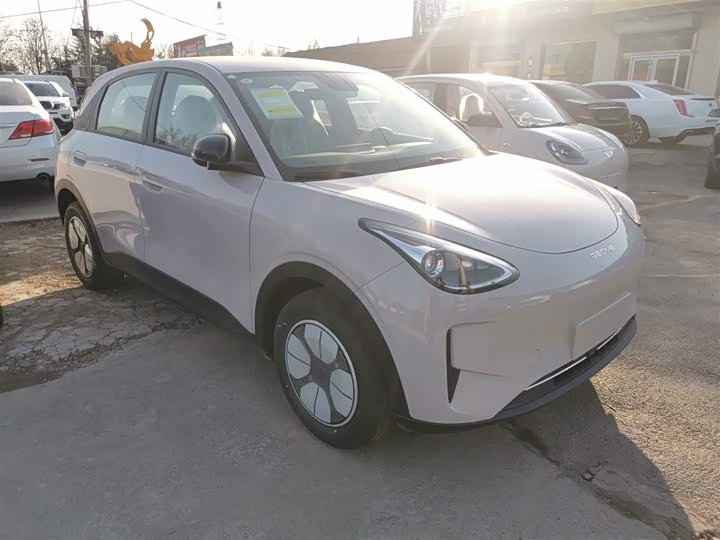 Geely Galaxy Geome 2026 2026款 310km 青春版