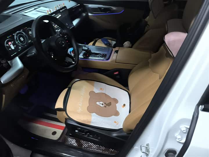 GAC Trumpchi ES9 2024 2024款 PHEV 143km 旅行者 Max