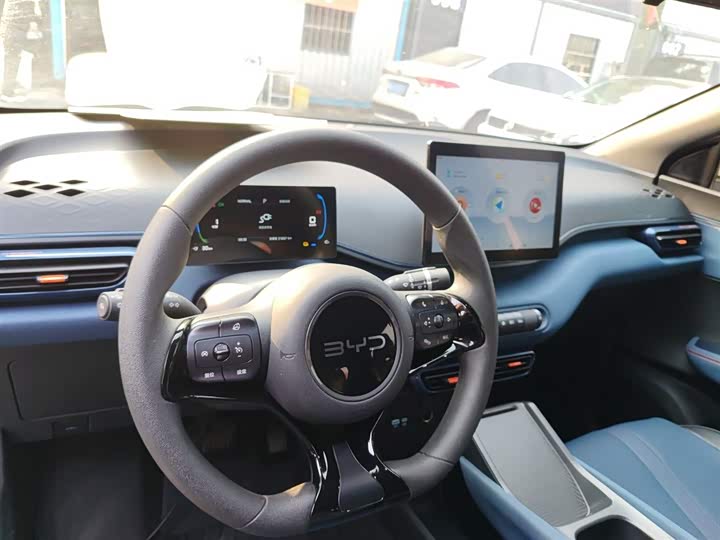 BYD Seagull 2025 2025款 305km 活力版