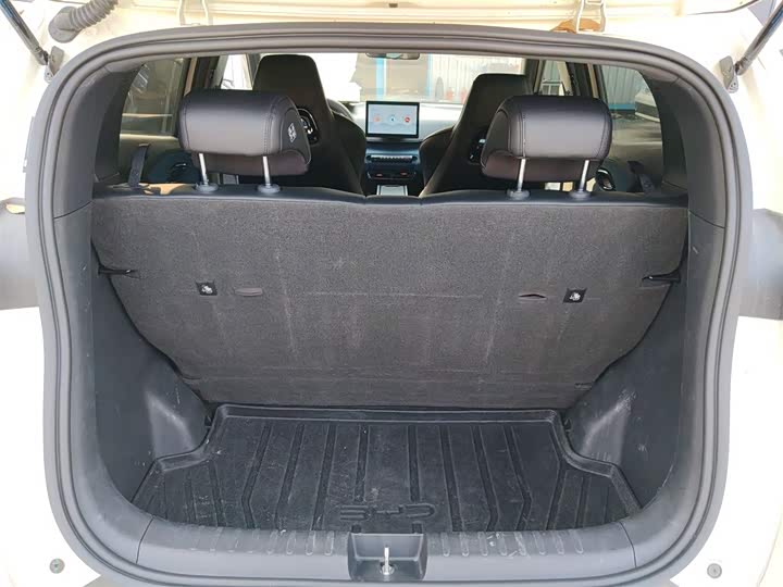 BYD Seagull 2025 2025款 305km 活力版