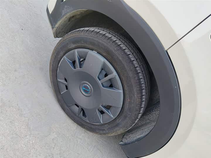 BYD Seagull 2025 2025款 305km 活力版