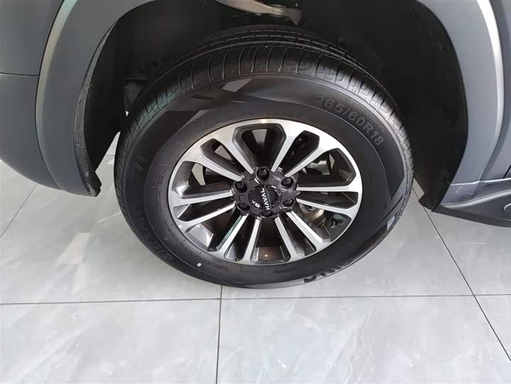 Haval H9 2024 2024款 2.0T 汽油四驱拓境版