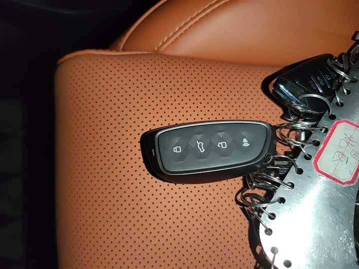 Haval H9 2024 2024款 2.0T 汽油四驱拓境版