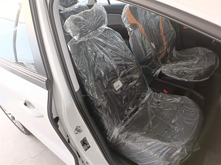 Bestune NAT 2023 2023款 PRO 悦享出行版 425km