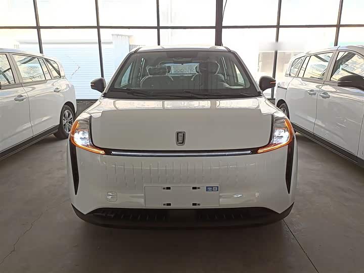 Bestune NAT 2023 2023款 PRO 悦享出行版 425km