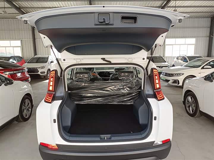 Bestune NAT 2023 2023款 PRO 悦享出行版 425km