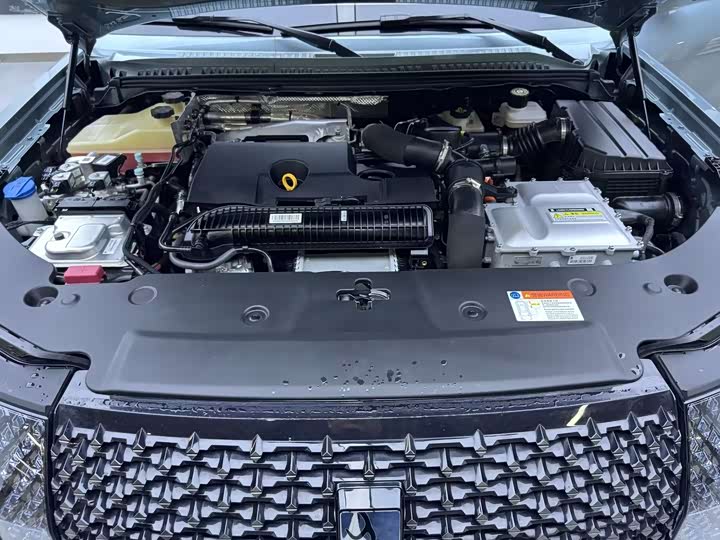 BYD Yangwang U8 2023 2023款 豪华版