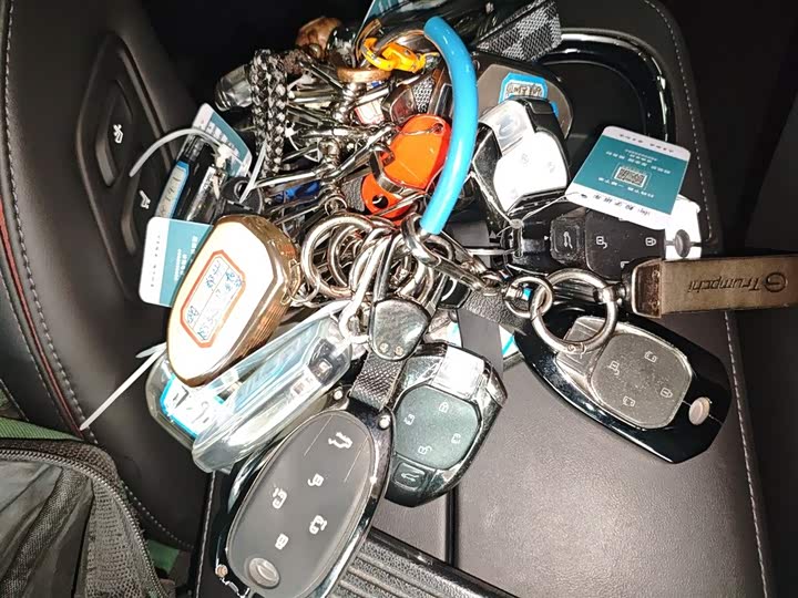 GAC Trumpchi M8 2024 2024款 宗师系列 400T 先锋版