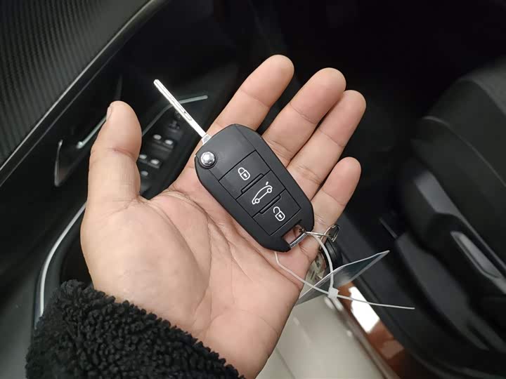 Peugeot 4008 2019 2019款 400THP 尝先版