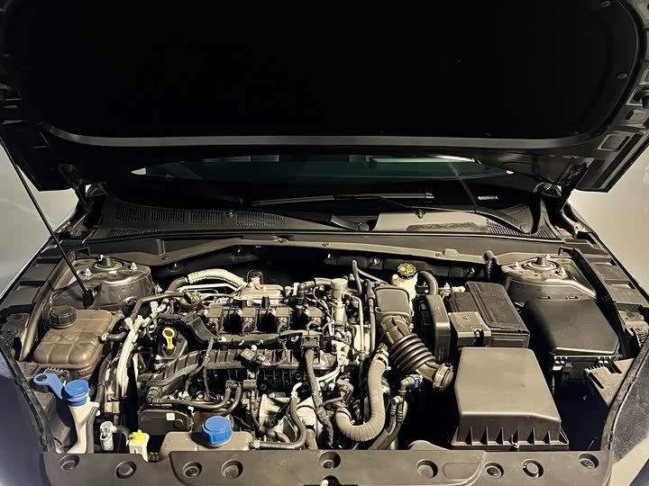 Changan Eado Plus 2025 2025款 蓝鲸 1.5T 500Bar尊贵型