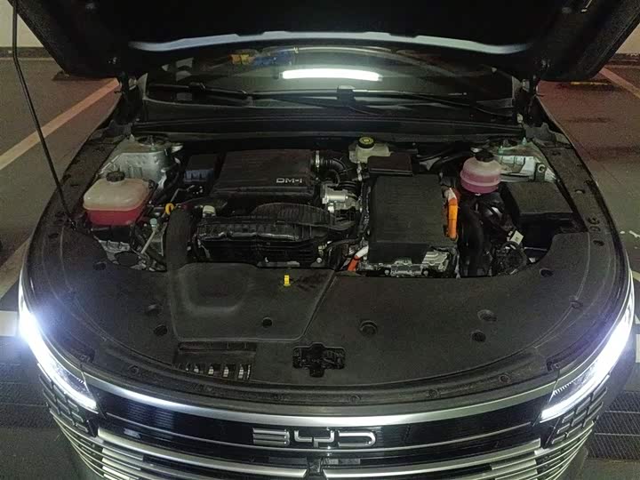 BYD Destroyer 05 2024 2024款 荣耀版 DM-i 55KM 豪华型