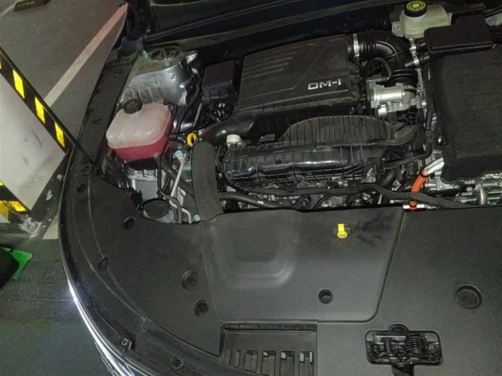 BYD Destroyer 05 2024 2024款 荣耀版 DM-i 55KM 豪华型