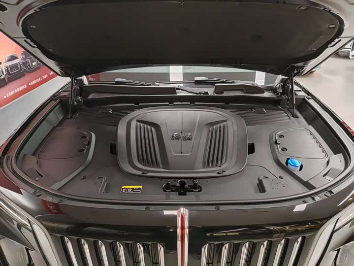 Hongqi E-HS9 2022 2022款 690km 旗享版 六座