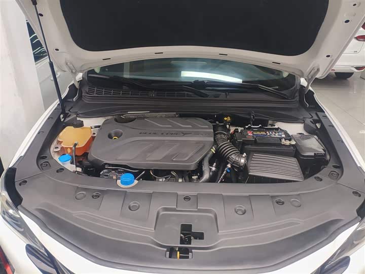 Changan Raeton CC 2021 2021款 蓝鲸版 1.5T DCT豪华型