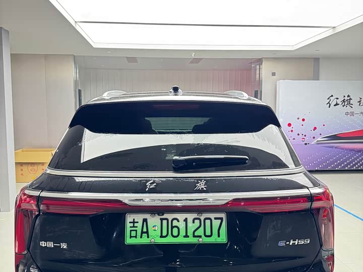 Hongqi E-HS9 2022 2022款 690km 旗享版 六座