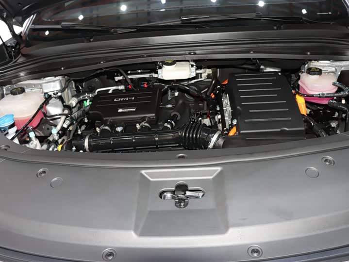 BYD Song L DM-i Hybrid 2025 2025款 智驾版 112km 超越型