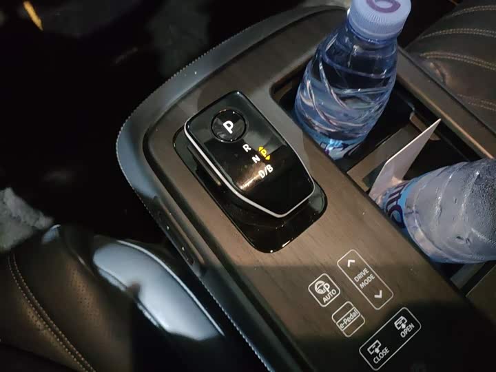 Nissan Ariya EV 2022 2022款 四驱高性能顶配版