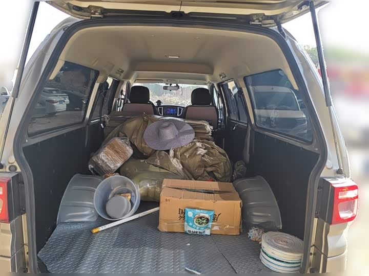 Dongfeng Forthing Lingzhi M5 2025 2025款 M5 1.6L 长轴基本型 5座