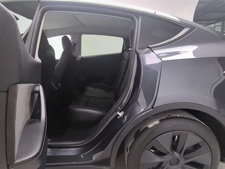 Tesla Model Y 2024 2024款 后轮驱动版