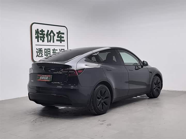 Tesla Model Y 2024 2024款 后轮驱动版