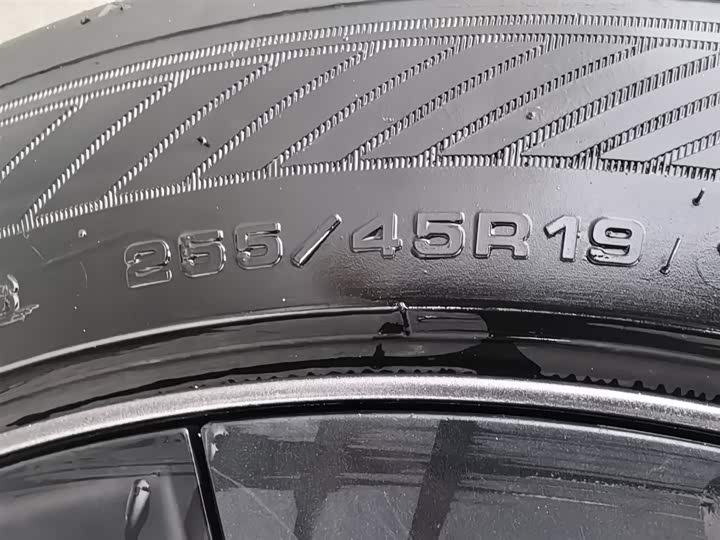 Tesla Model Y 2024 2024款 后轮驱动版