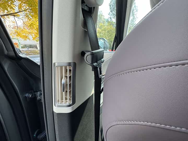 Chery Tiggo 9 Hybrid 2025 2025款 1.5T 106KM悦享版 7座 磷酸铁锂